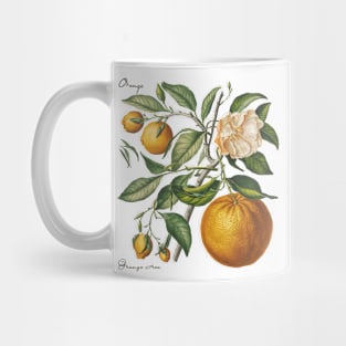 Vintage Orange Botanical Mug